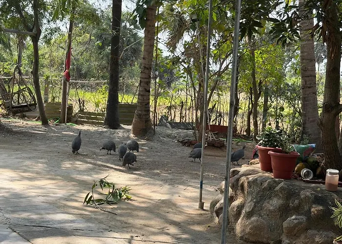 White Villa - Farm Stay